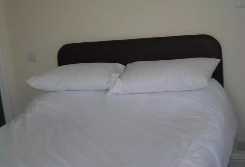 Retkeilymaja The Swan