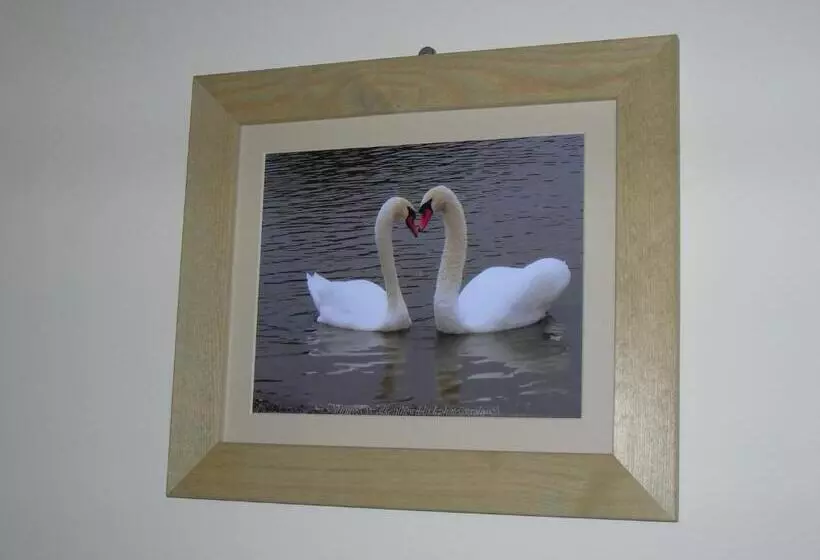 Retkeilymaja The Swan