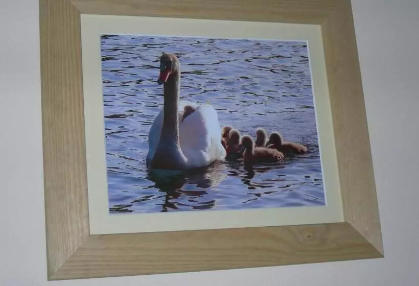 Retkeilymaja The Swan