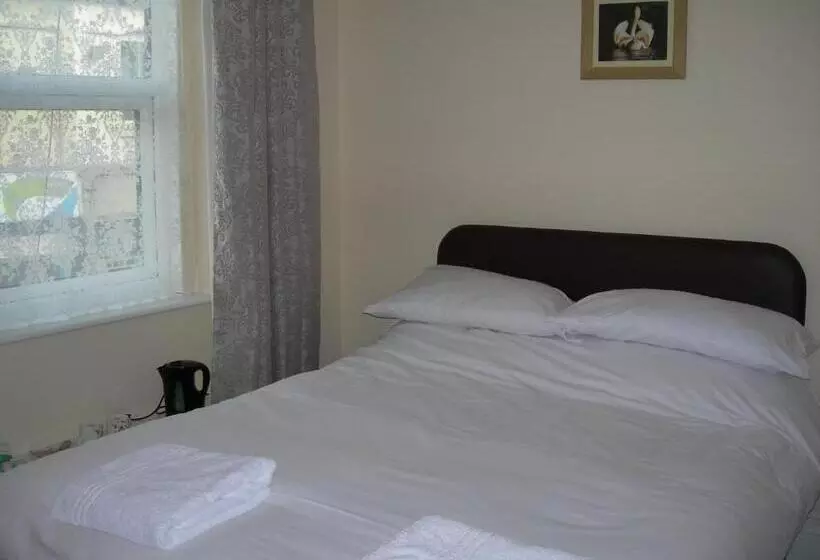 Retkeilymaja The Swan