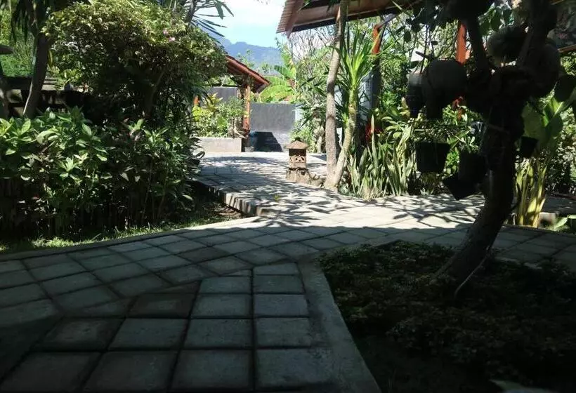 Majatalo Putu Guest House Pemuteran