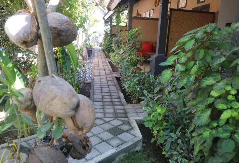 بنسيون Putu Guest House Pemuteran