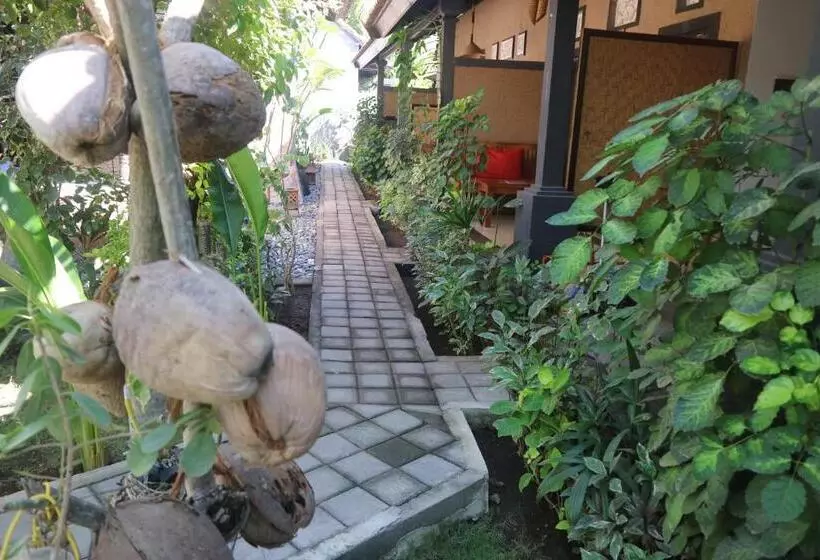 Majatalo Putu Guest House Pemuteran