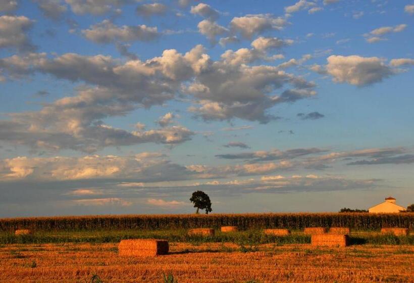 هتل Bordeghina B&b In Farmhouse