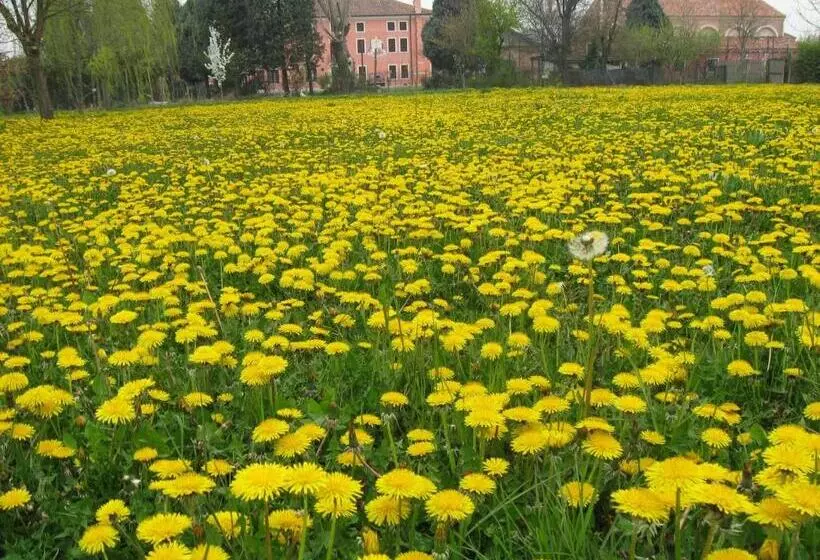 هتل Bordeghina B&b In Farmhouse
