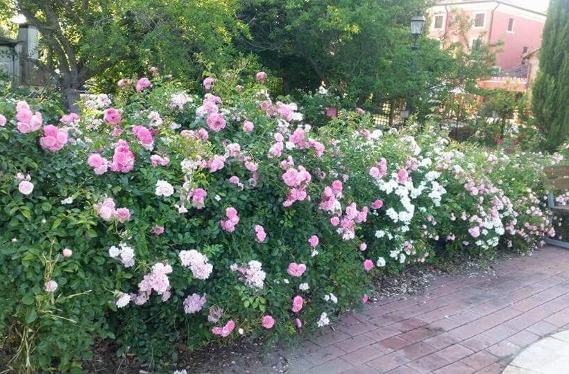 هتل Bordeghina B&b In Farmhouse