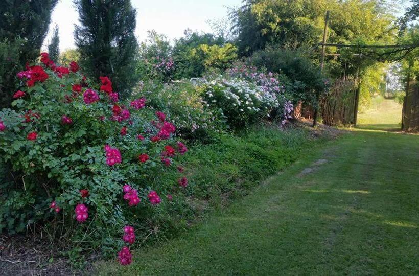 هتل Bordeghina B&b In Farmhouse