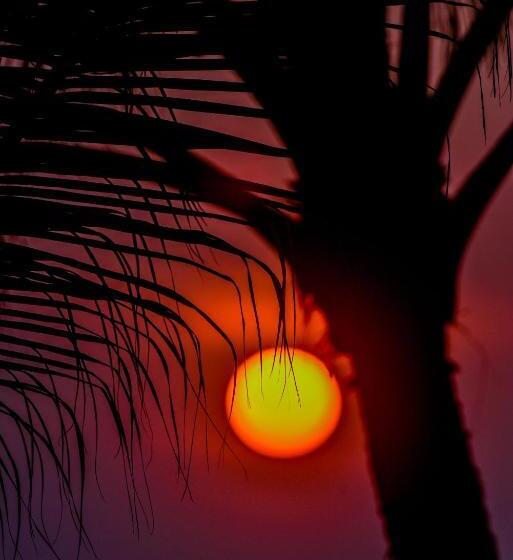 Отель Hikka Sandy Pearl Beach Resort