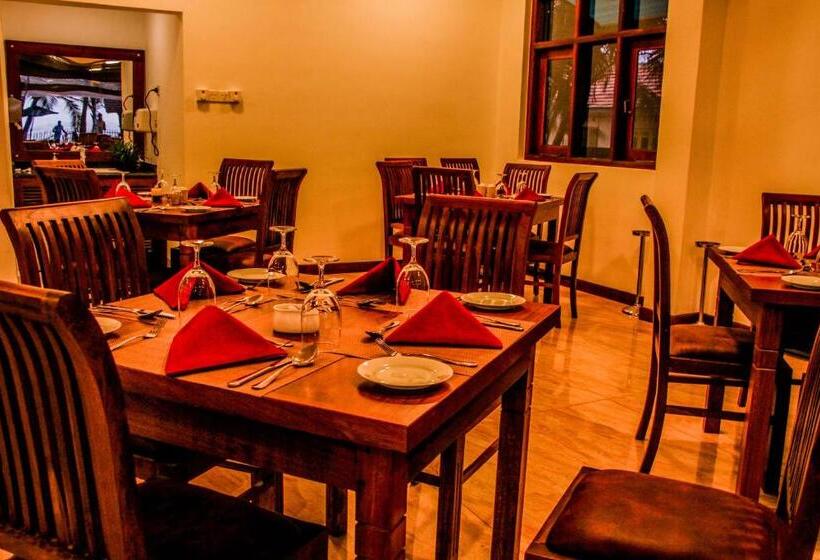 Отель Hikka Sandy Pearl Beach Resort