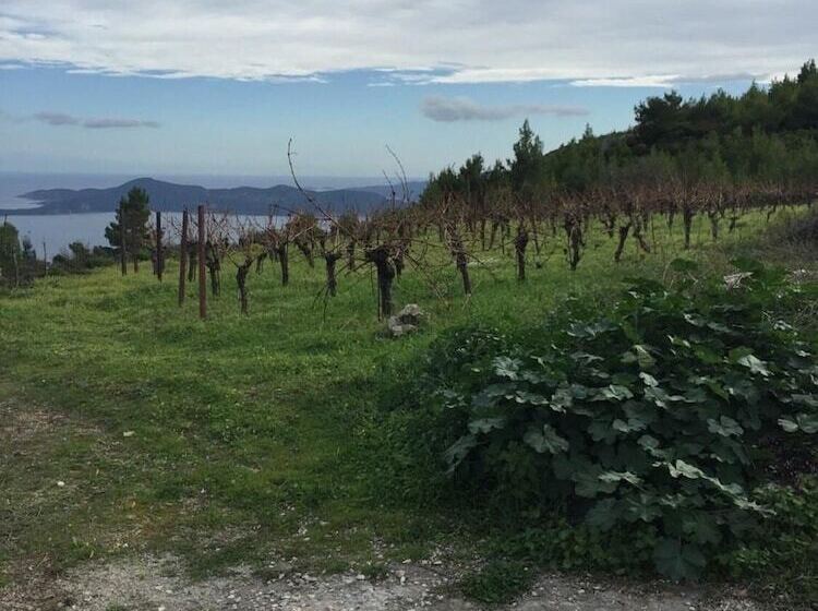 בית מלון כפרי Methanion