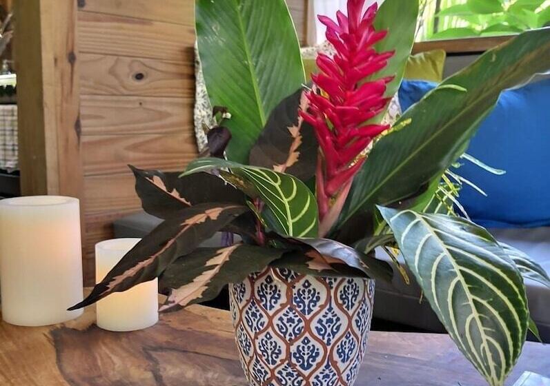 Boutique Hotel Y Spa Tangara Azul