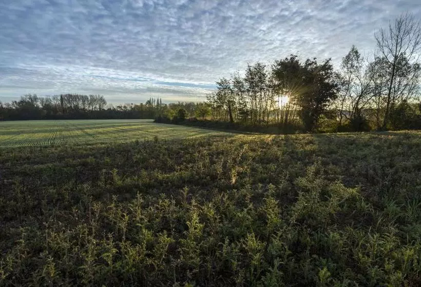 ホテル Bed And Breakfast Sile E Natura