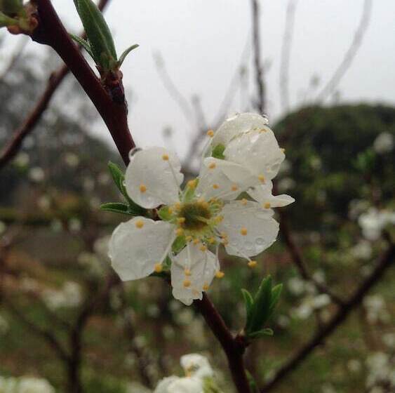 هتل Mount Tai Wu Cozy