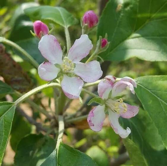 هتل Mount Tai Wu Cozy