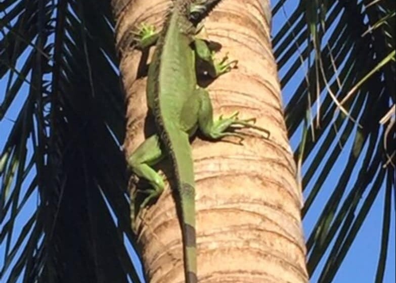 בית מלון כפרי Punta Franca