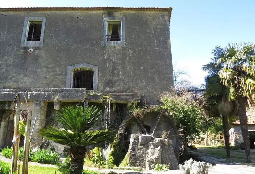 ホテル Quinta De Rio Alcaide