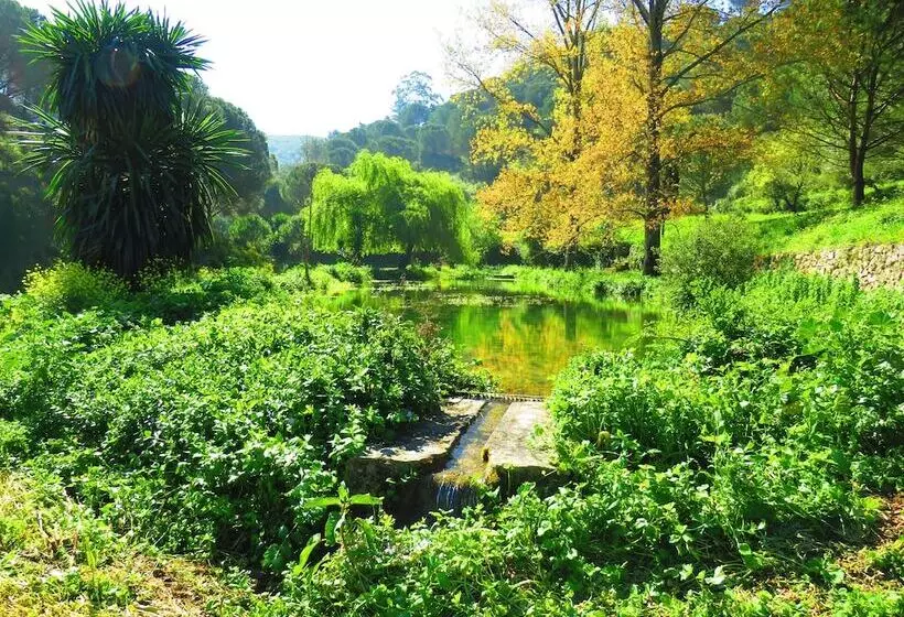 ホテル Quinta De Rio Alcaide