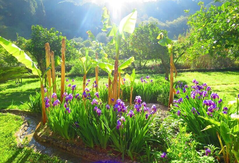 هتل Quinta De Rio Alcaide