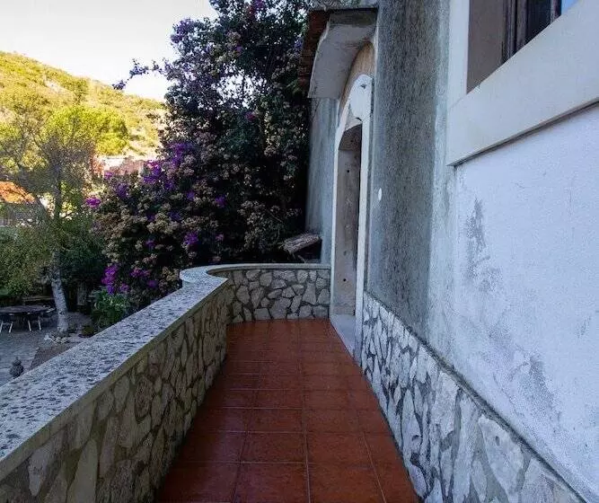 ホテル Quinta De Rio Alcaide