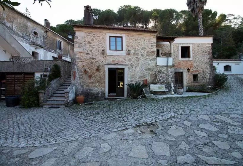 ホテル Quinta De Rio Alcaide