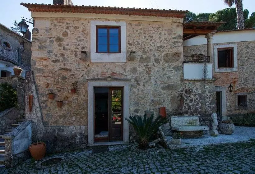 ホテル Quinta De Rio Alcaide