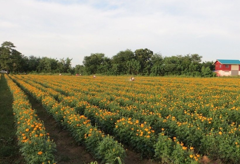 Hotel River Garden 888