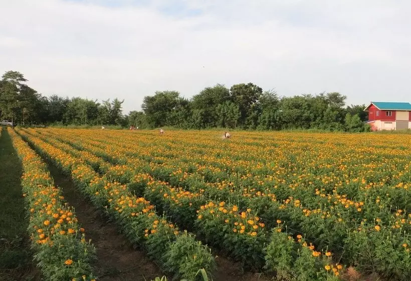 Hotelli River Garden 888