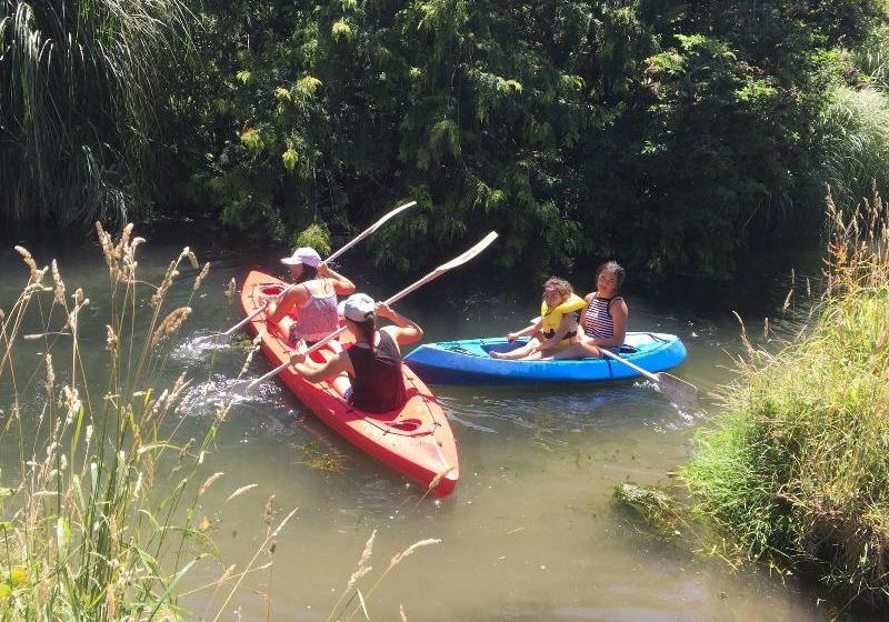 酒店 Silverstream Lodge