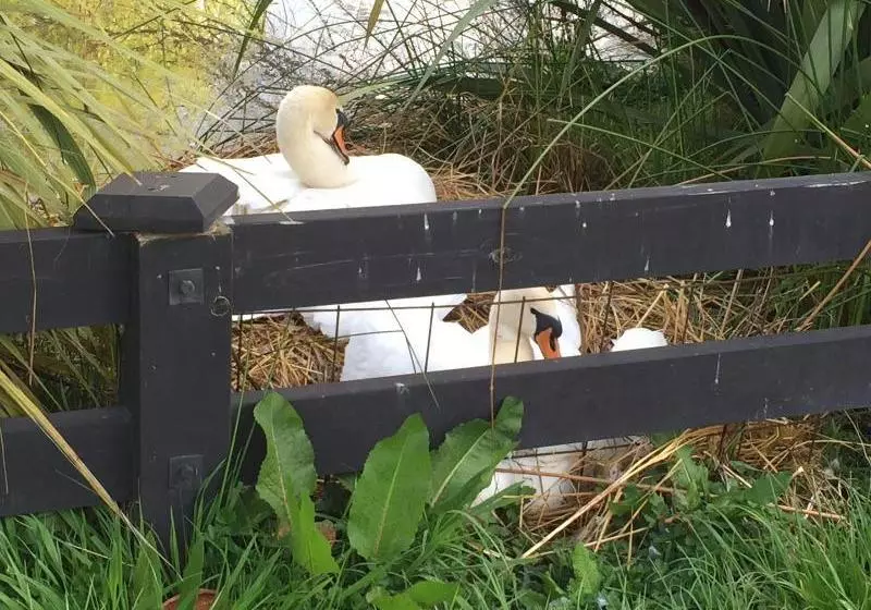 Hotelli Silverstream Lodge