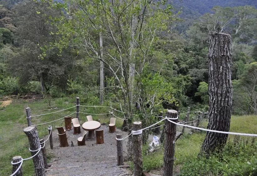 ホテル Wayn Zen Rose Cabin