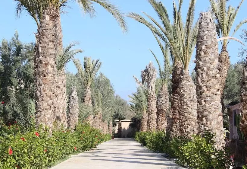 Riad Le Jasmin