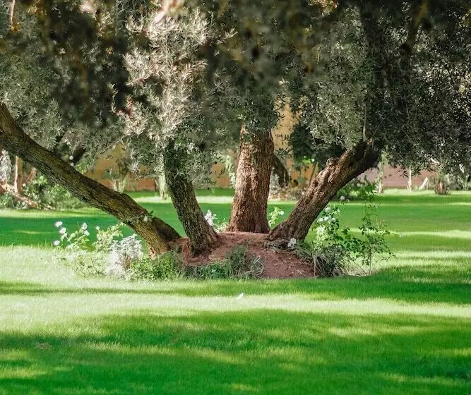 Riad Le Jasmin