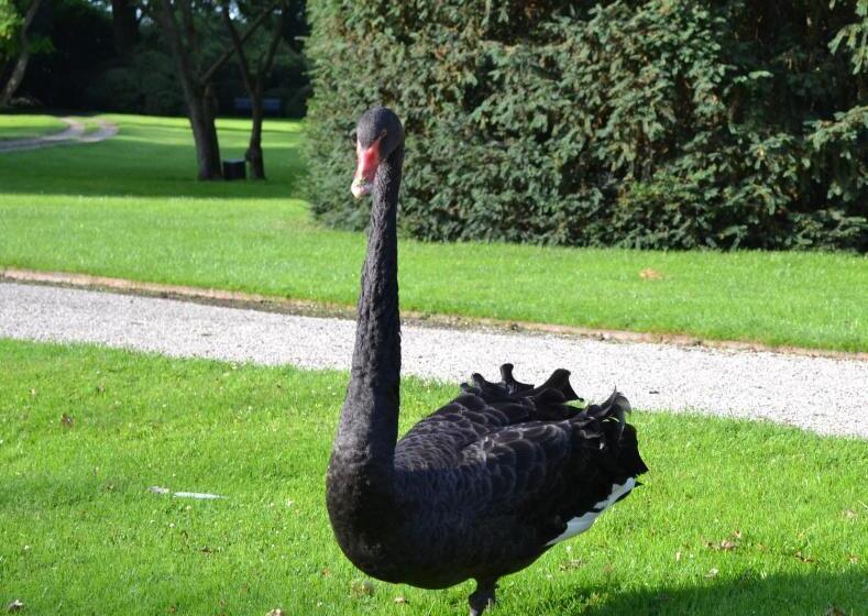 B&b En Spa Landgoed Matanze