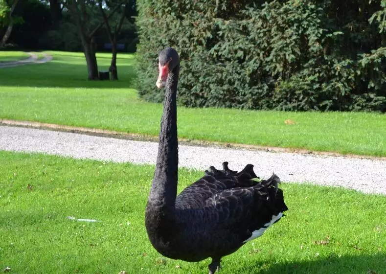 B&b En Spa Landgoed Matanze