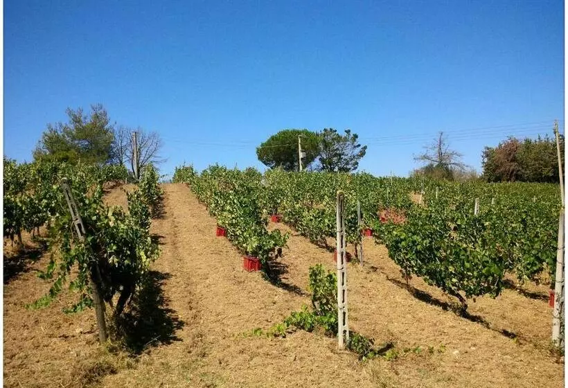 Hotelli Agriturismo San Giusto