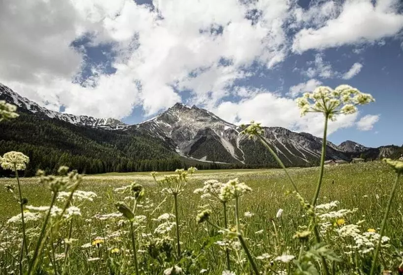 ユースホステル Central La Fainera Superior