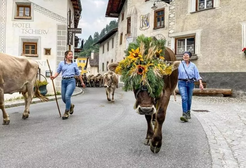 ユースホステル Central La Fainera Superior