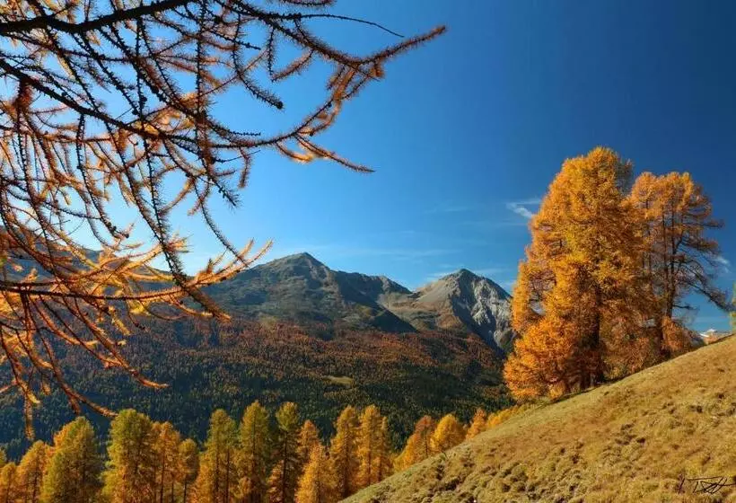 ユースホステル Central La Fainera Superior