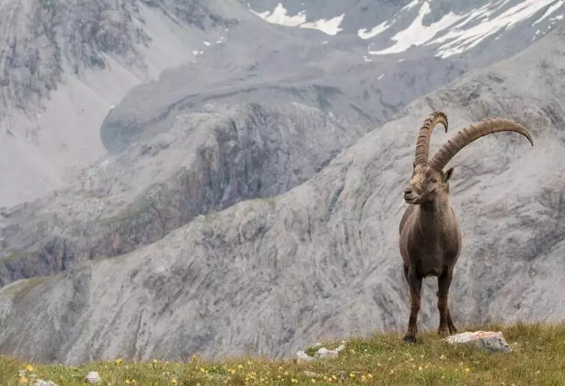 ユースホステル Central La Fainera Superior