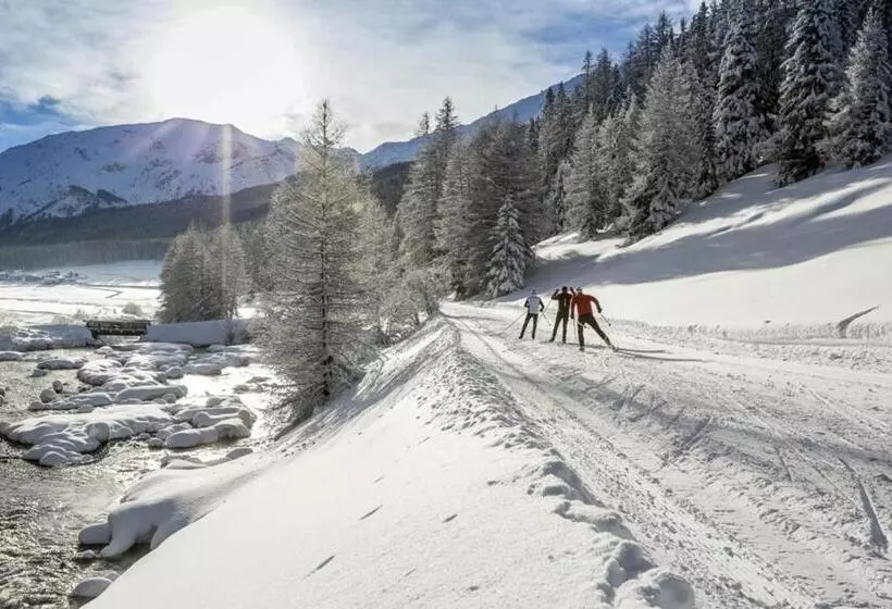 ユースホステル Central La Fainera Superior