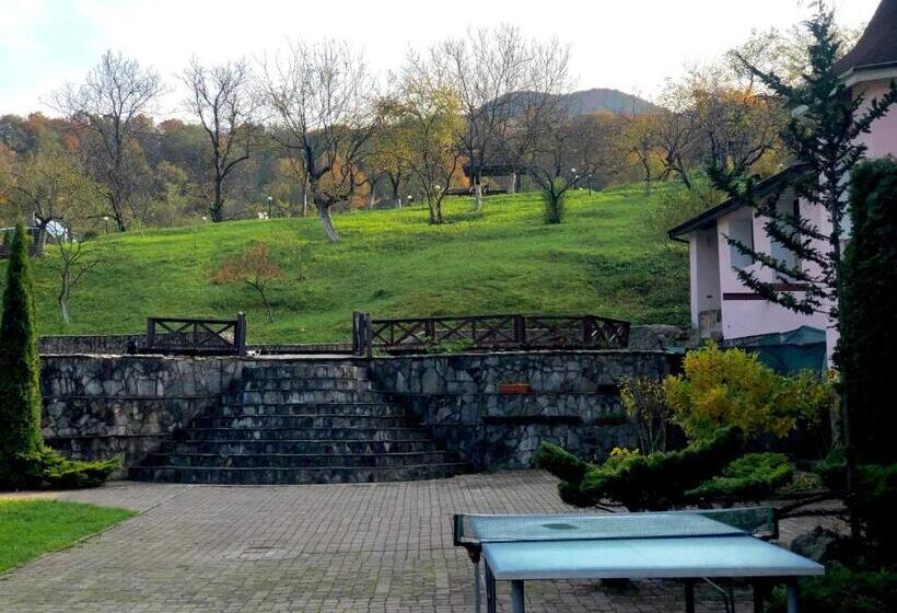 酒店 готель мараморош