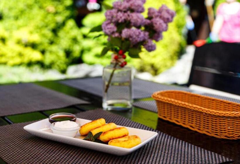 בית מלון כפרי готель мараморош