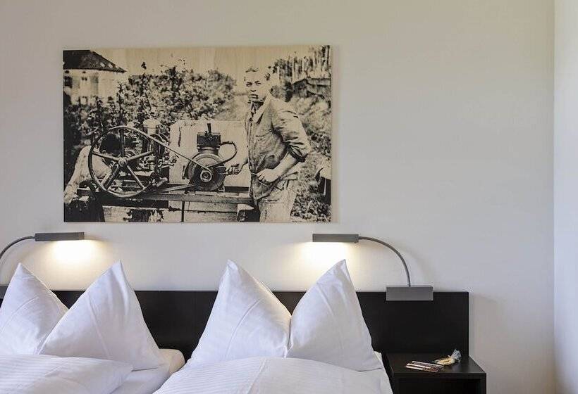 Отель Arenenberg