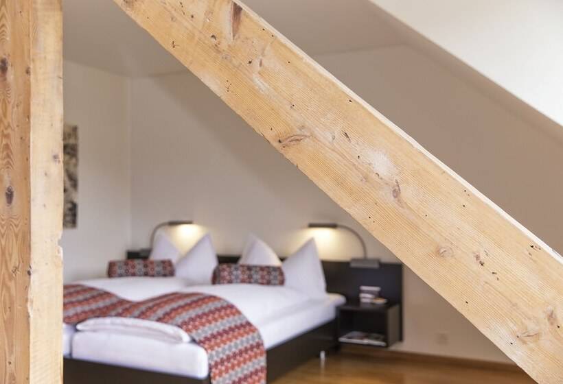 Отель Arenenberg