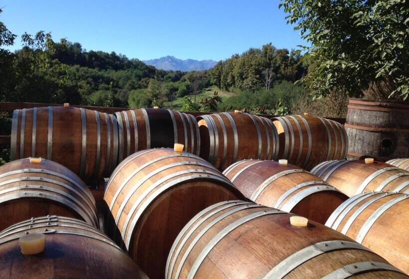 乡村酒店  La Carosera