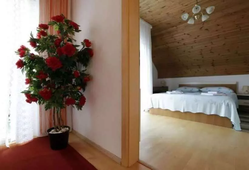 ペンション Adriana Guesthouse