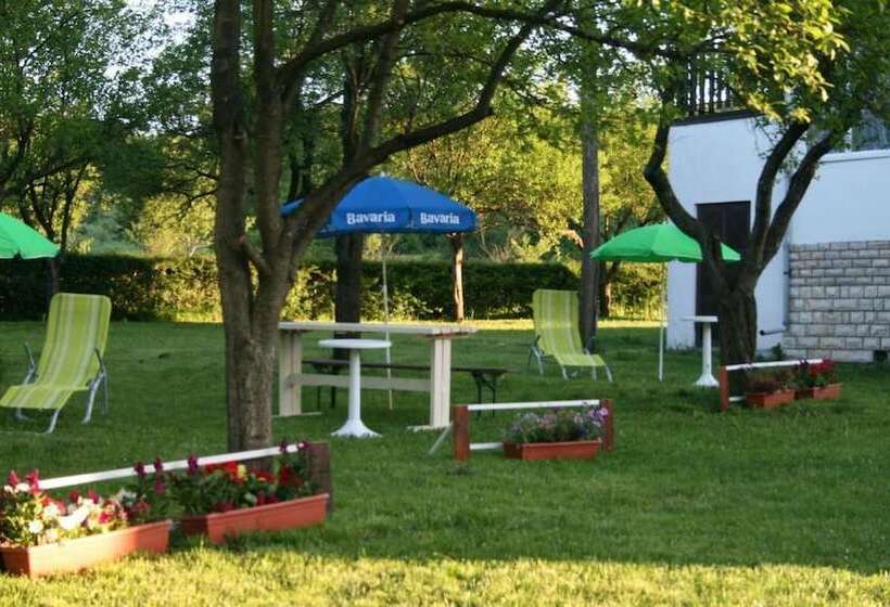 ペンション Adriana Guesthouse