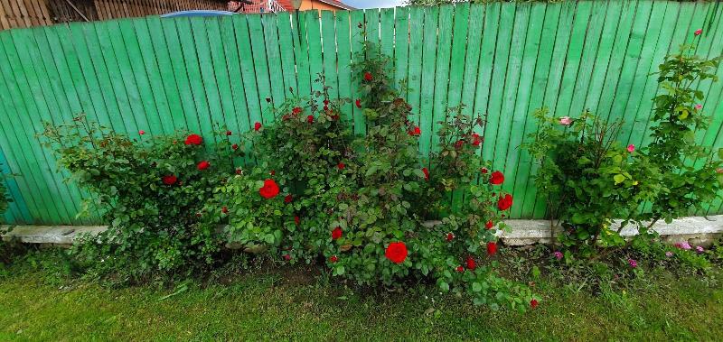 펜션 Belvedere La Cristina