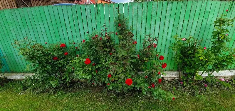 ペンション Belvedere La Cristina