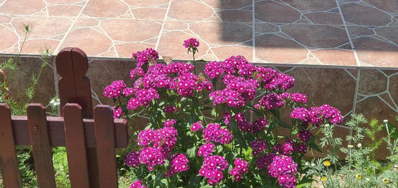 펜션 Belvedere La Cristina